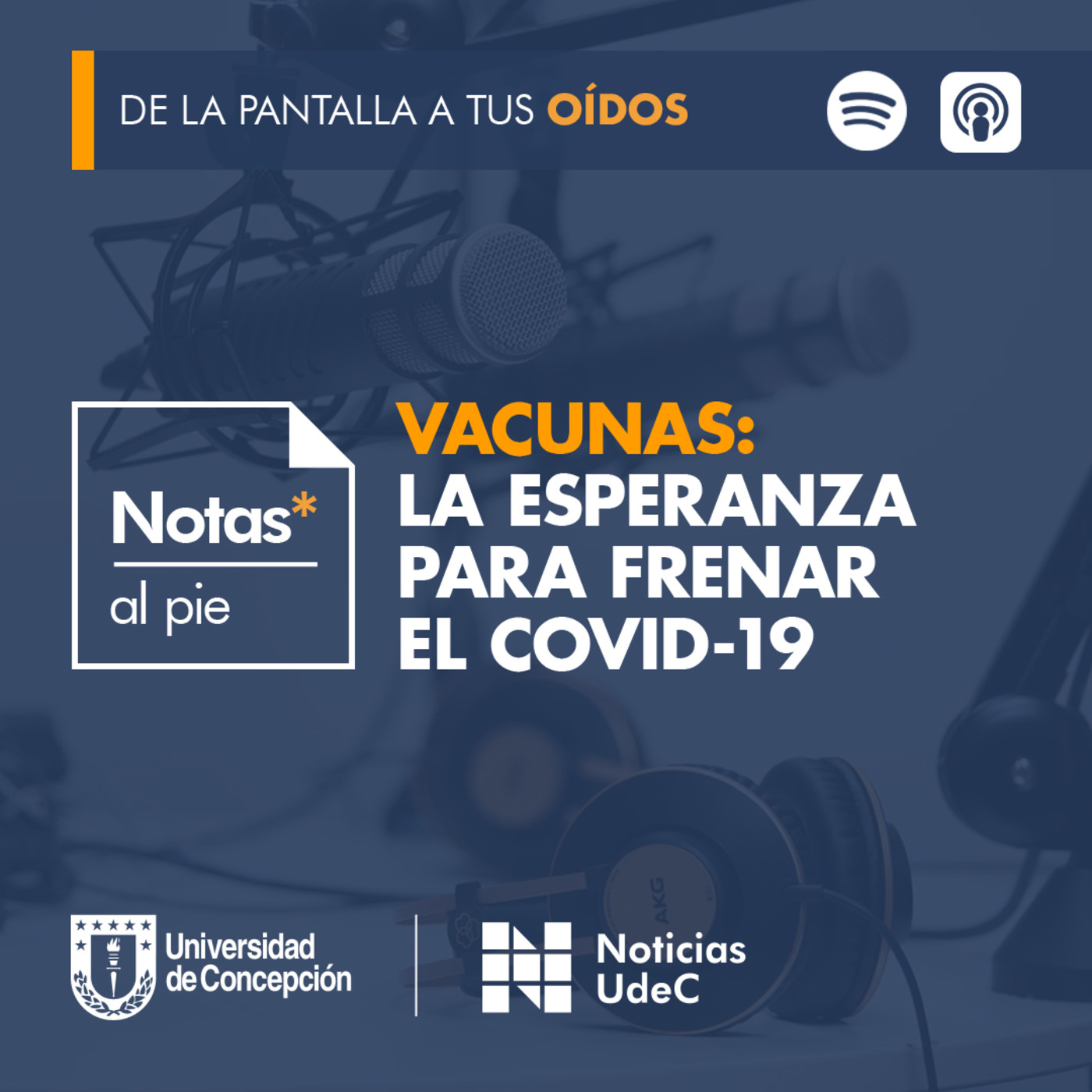 Notas al pie