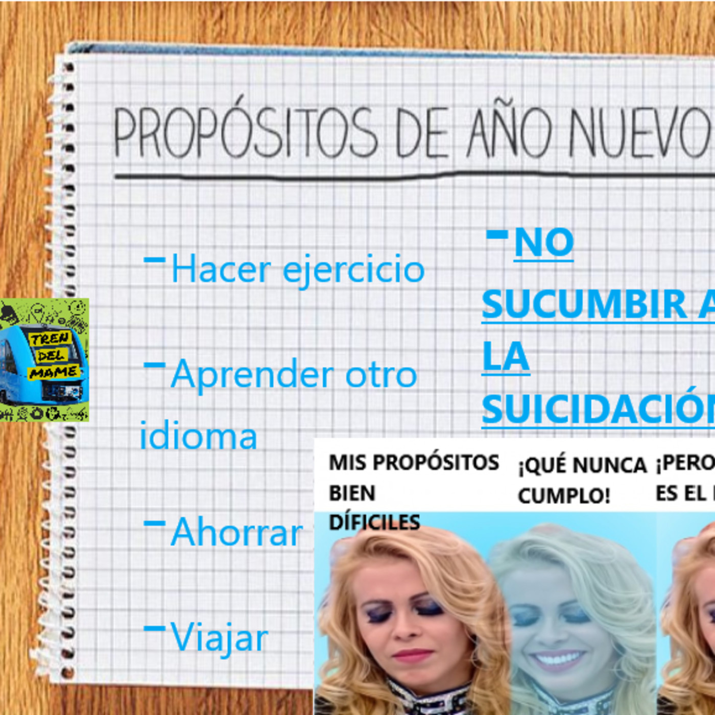 TREN DEL MAME
