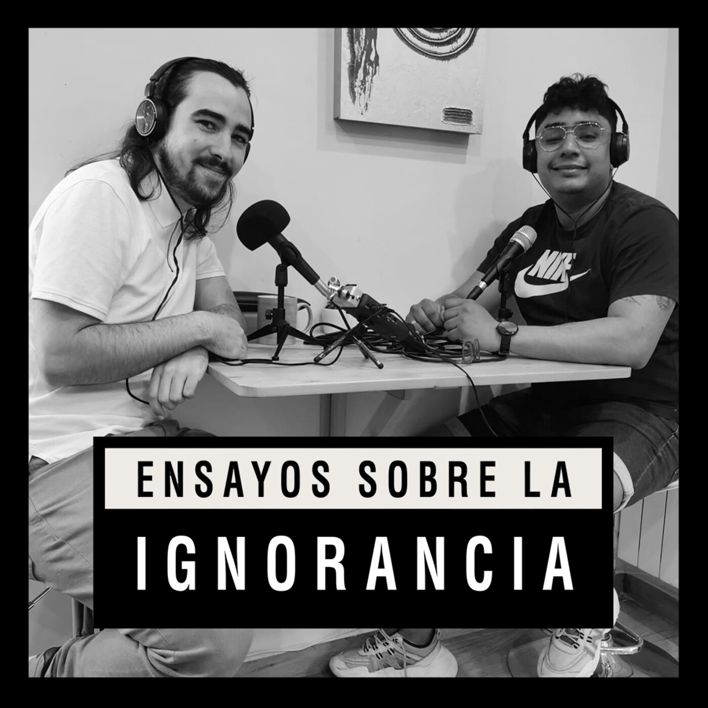 Ensayos sobre la ignorancia
