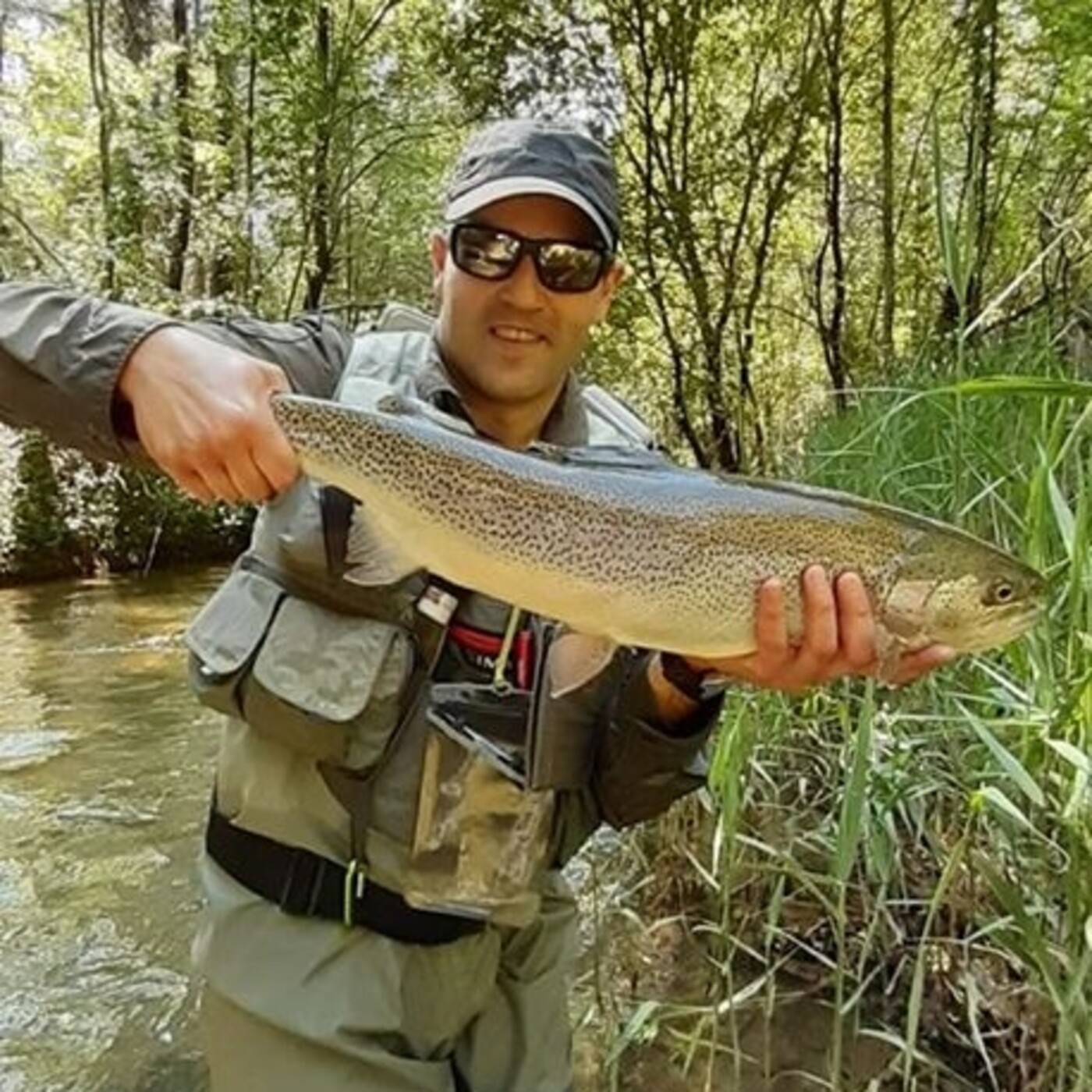 Rio de la Vida pesca