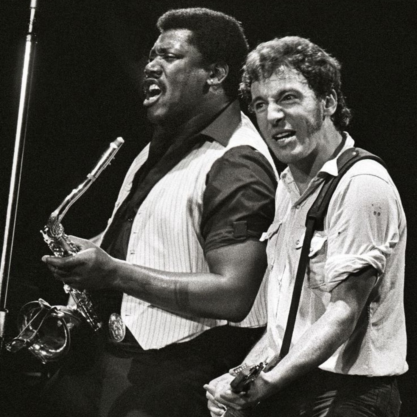 Els Fans de Bruce Springsteen