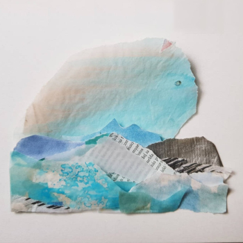 embed image