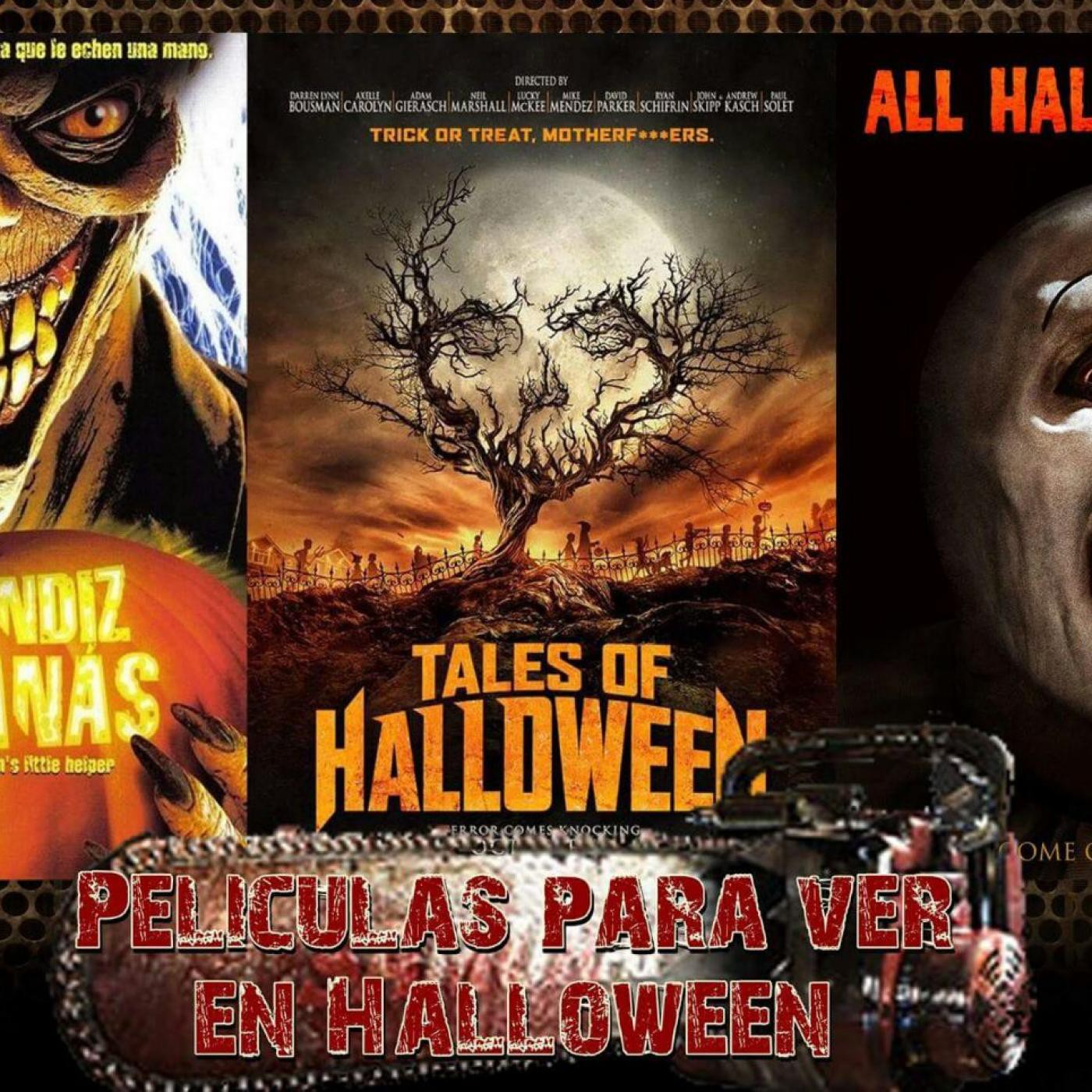 El Rincón De La Araña