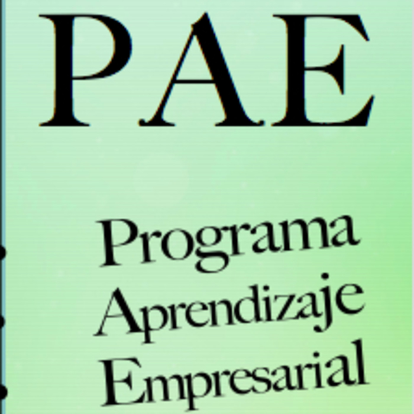 PROGRAMA DE APRENDIZAJE EMPRESARIAL - P.A.E