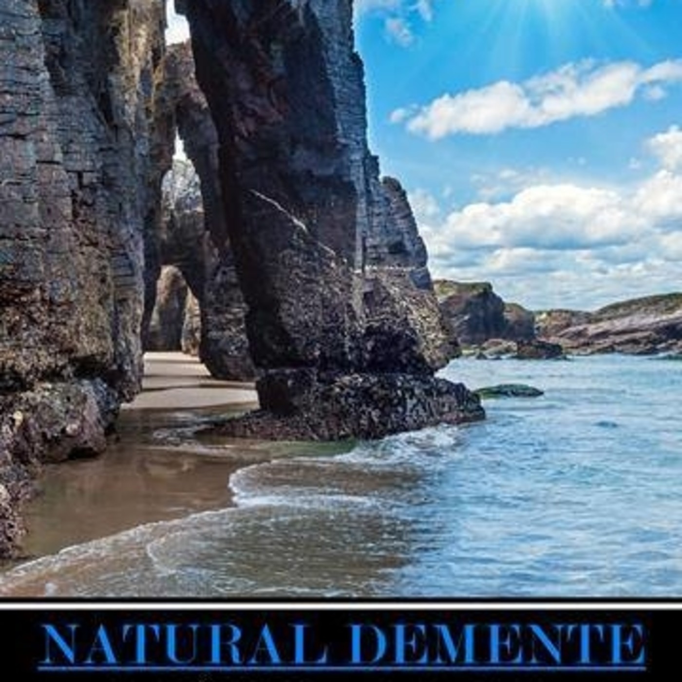 NATURAL DEMENTE