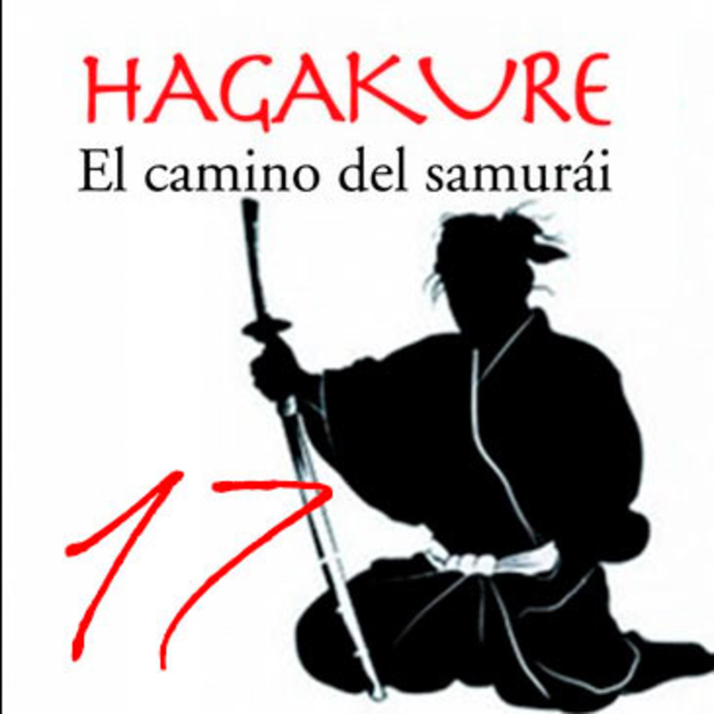 Dragonz | Artes Marciales y Deportes de Contacto