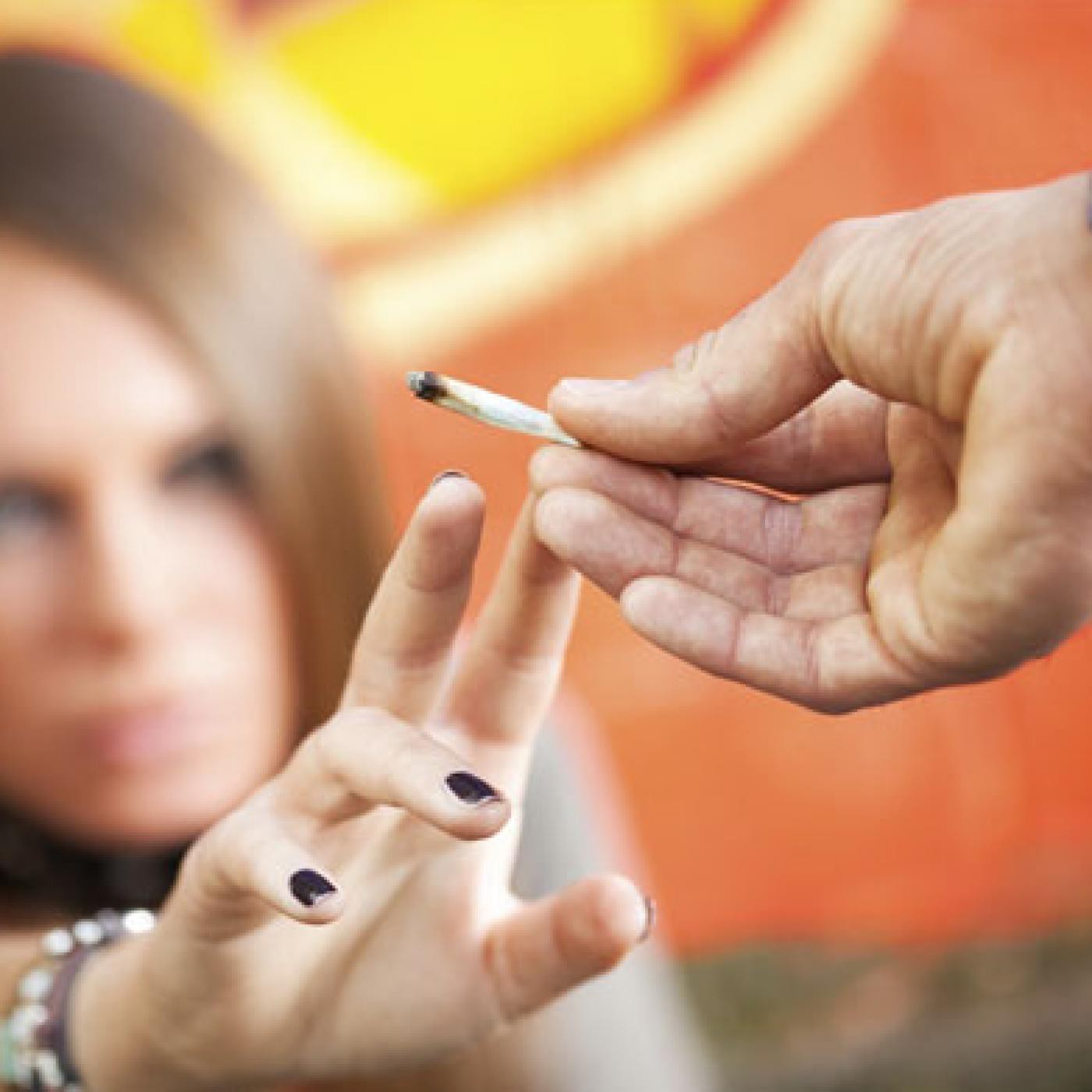 PlantaMadre Cannabis Huerta Hic Et Nunc