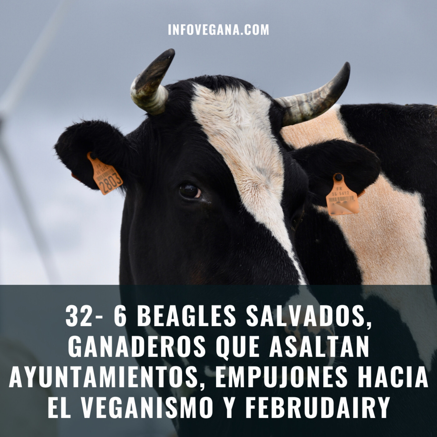 Infovegana, podcast de veganismo y sostenibilidad