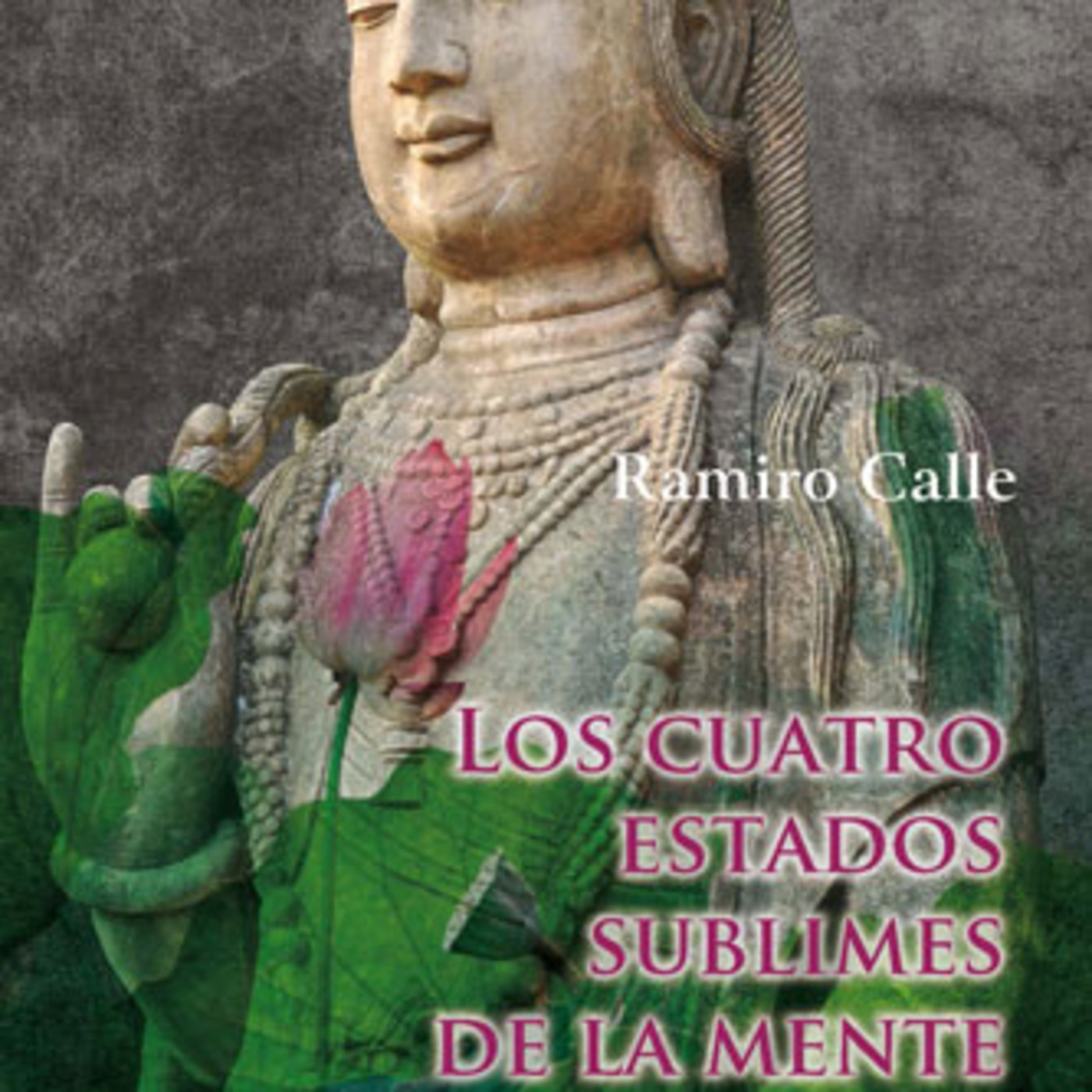 Mágica Vida Radio