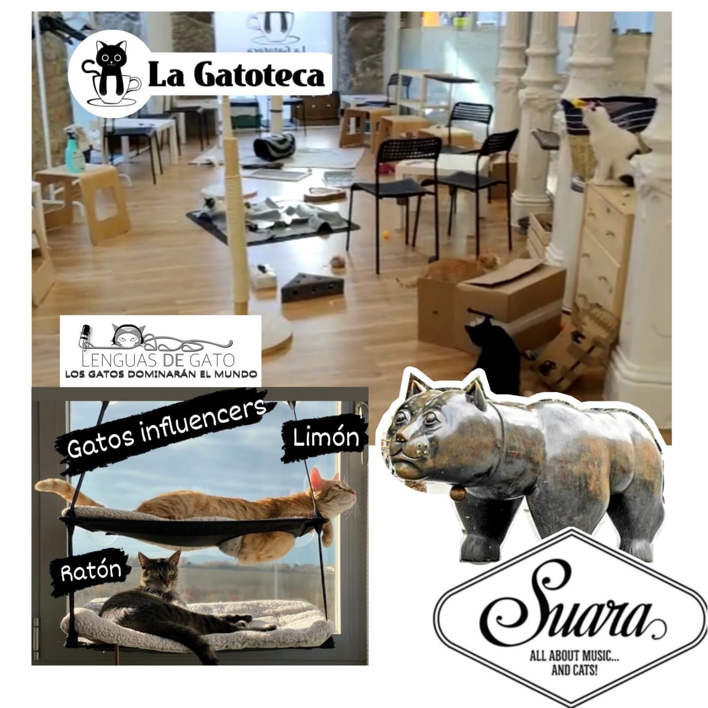 LOS GATOS DOMINARÁN EL MUNDO