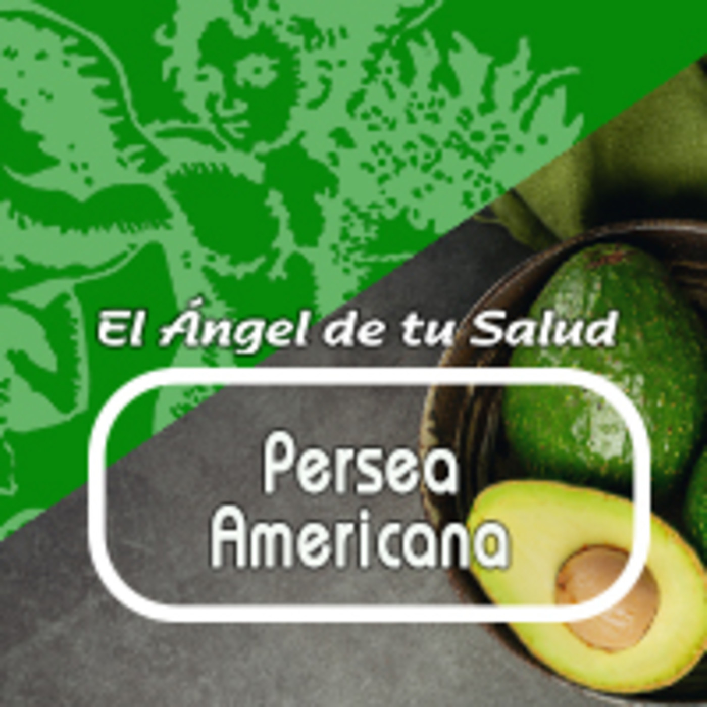 El Angel de tu Salud - AGUACATE CRIOLLO HOJAS episode artwork