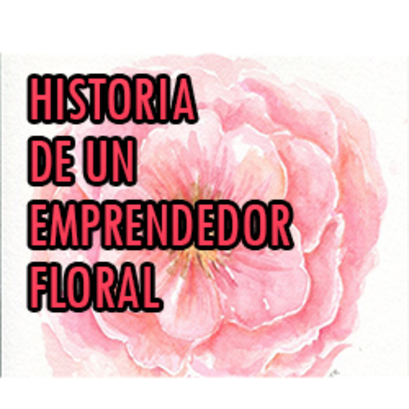 Historia de un emprendedor flo