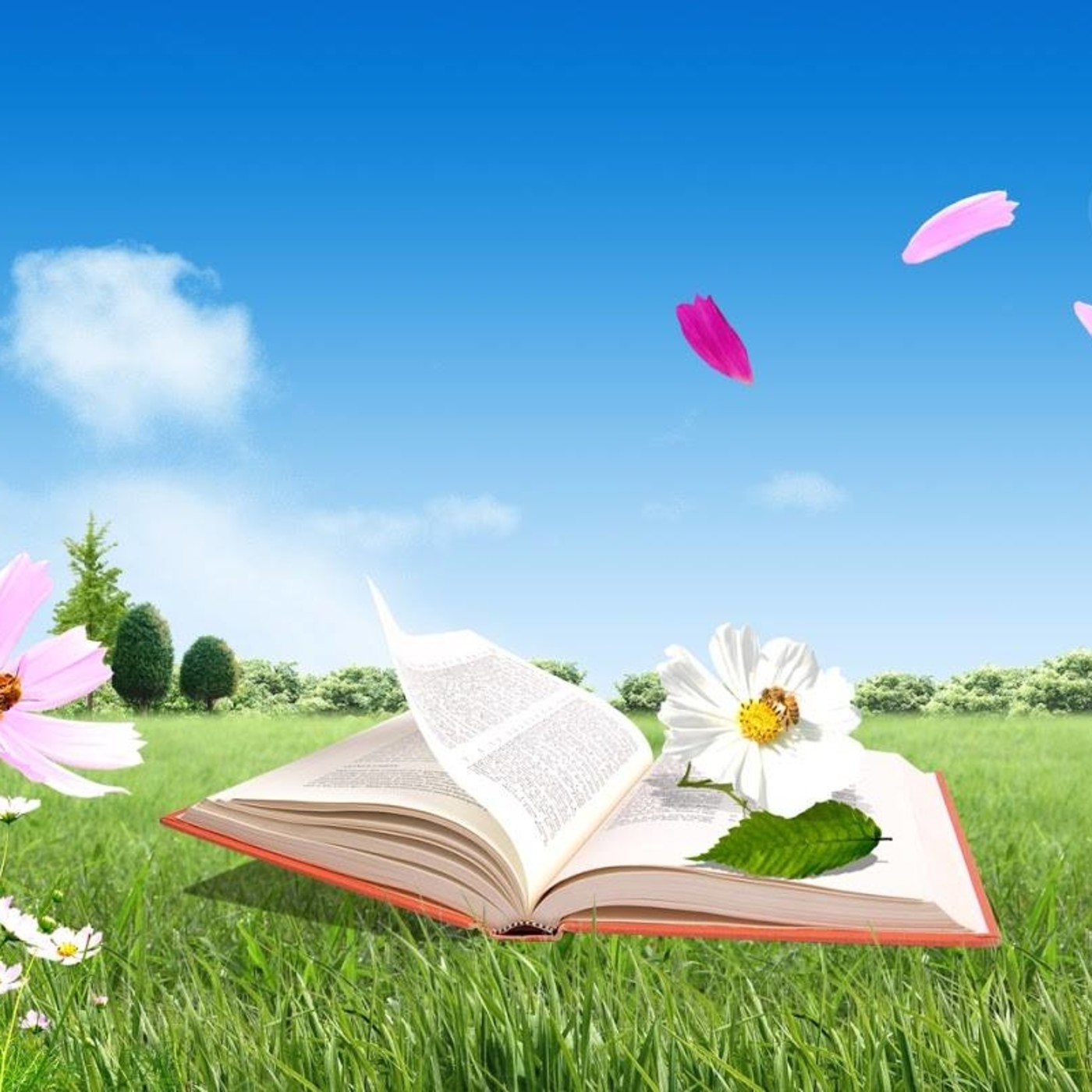 Podcast de RadioZurqui