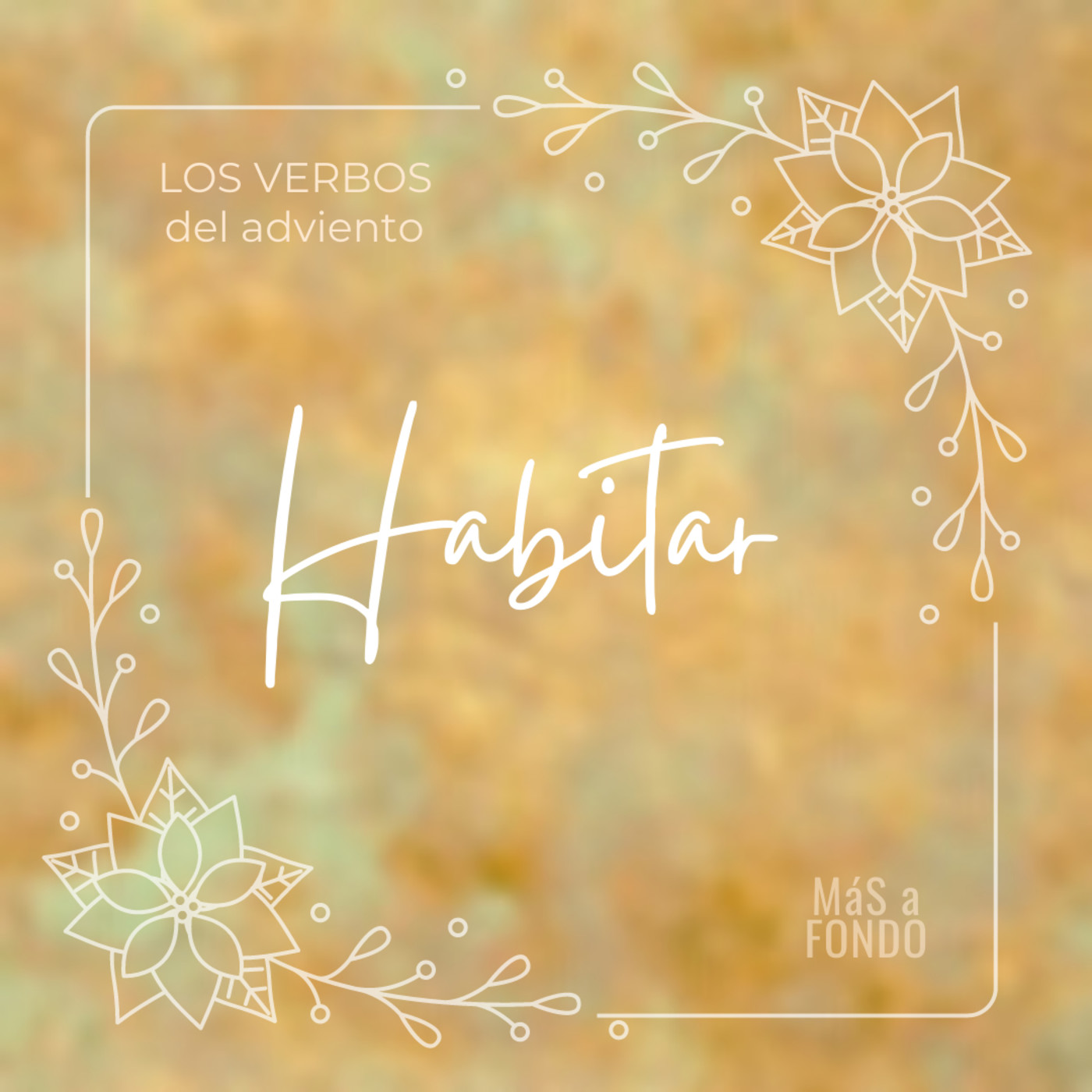 Más a fondo