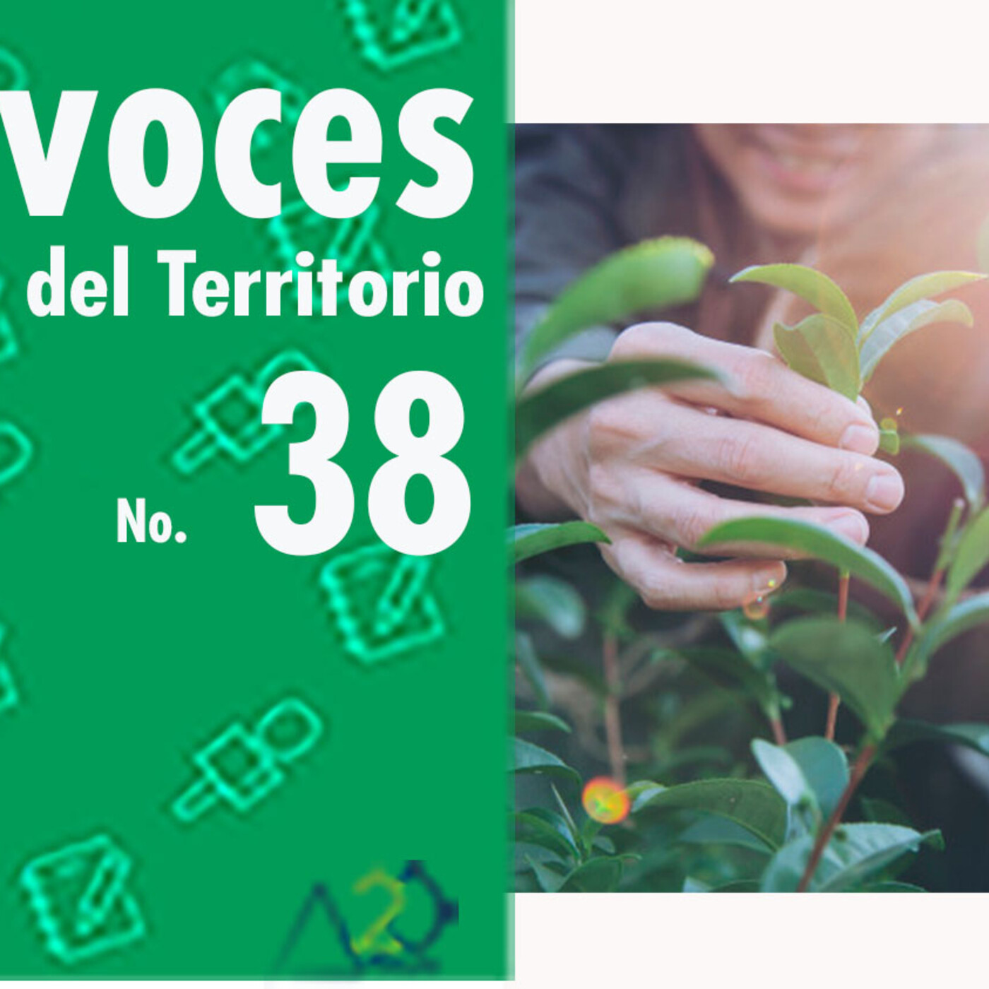Voces del Territorio