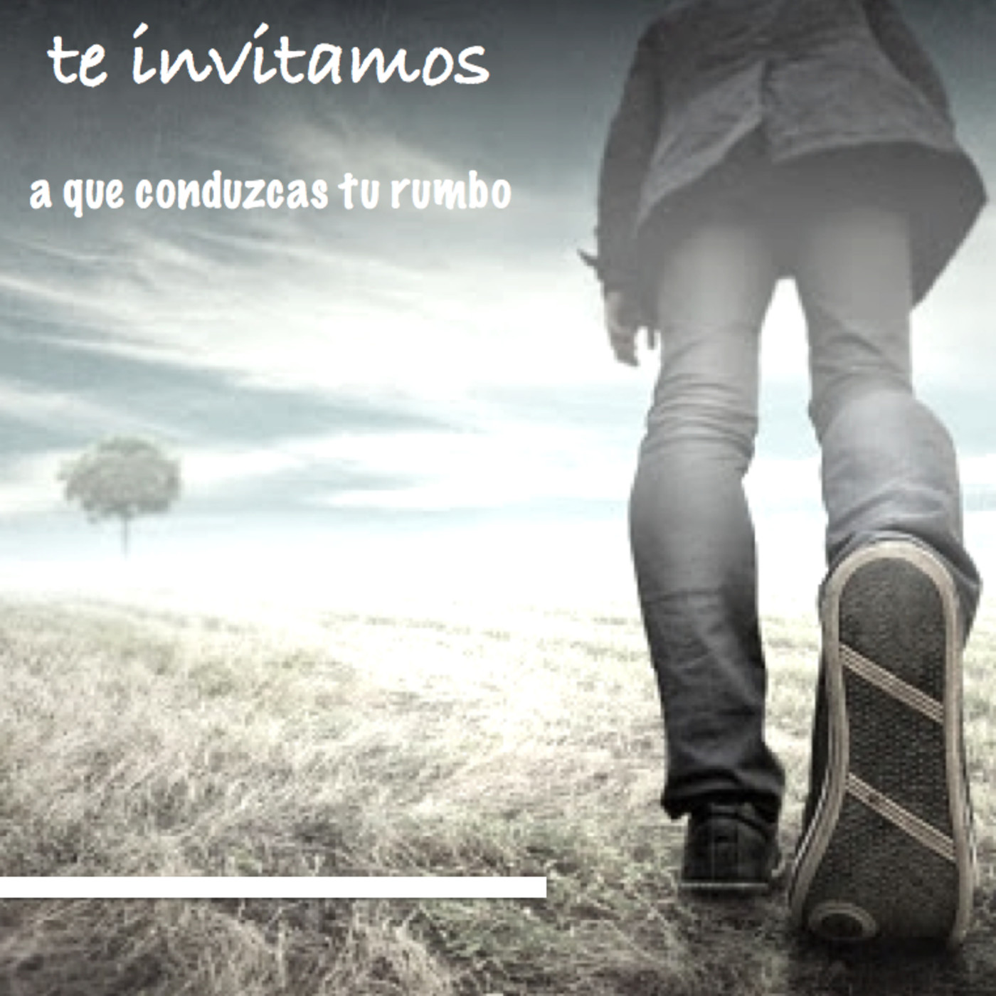 Descubre