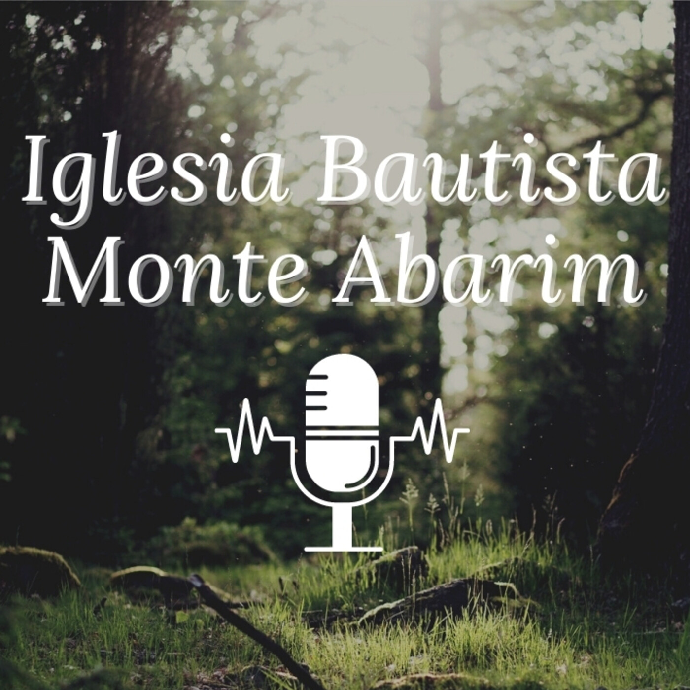 Iglesia Bautista Monte Abarim