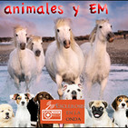 30/10/2019_Esclerosis Múltiple en la Onda