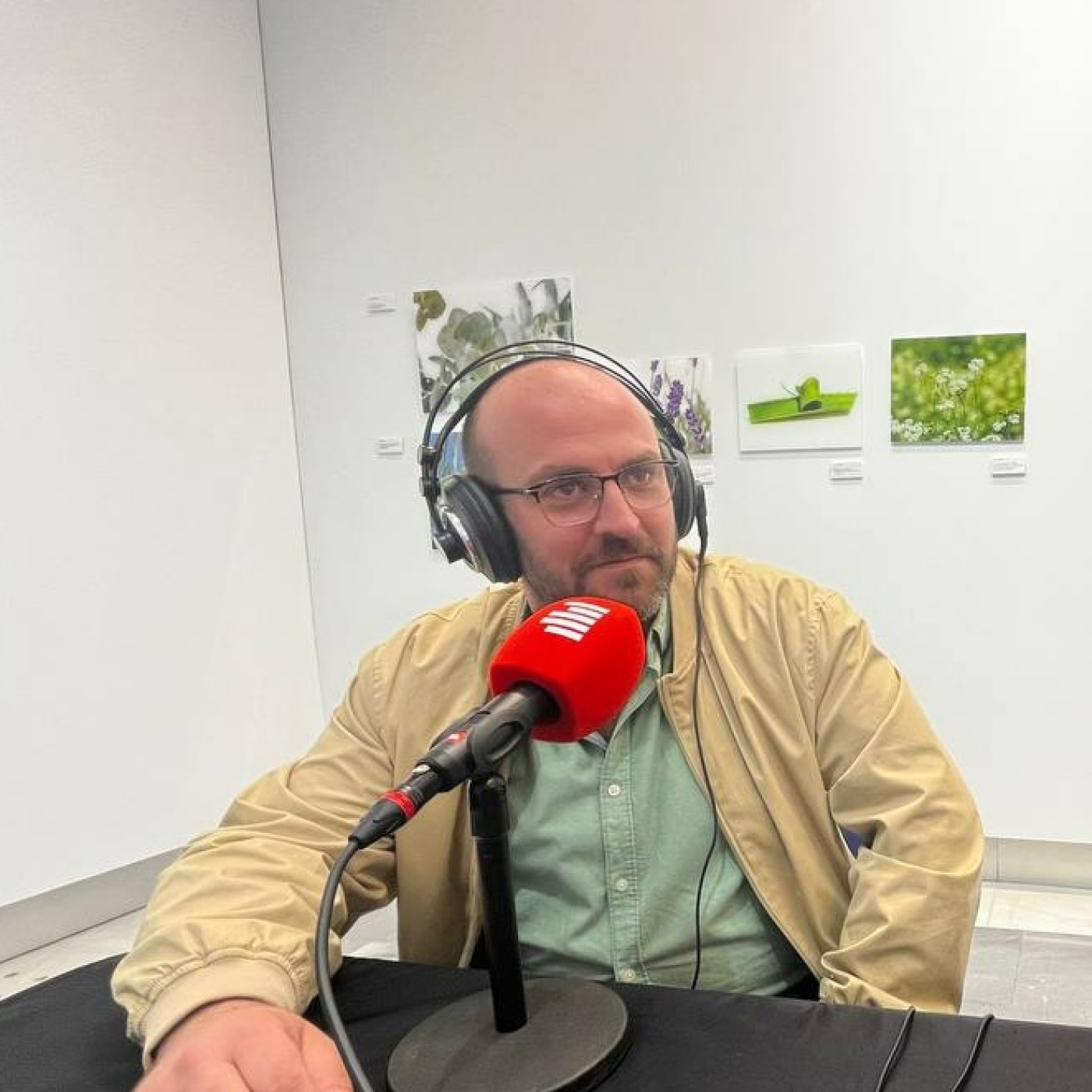 Entrevista a Darío Quesada, concejal de Cultura y Educación del Pilar de la Horadada episode artwork