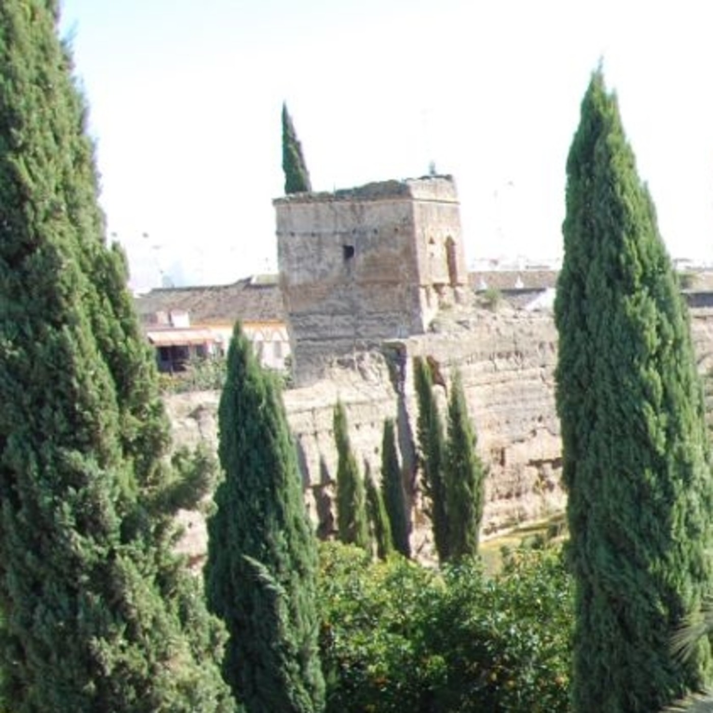 Saxoferreo