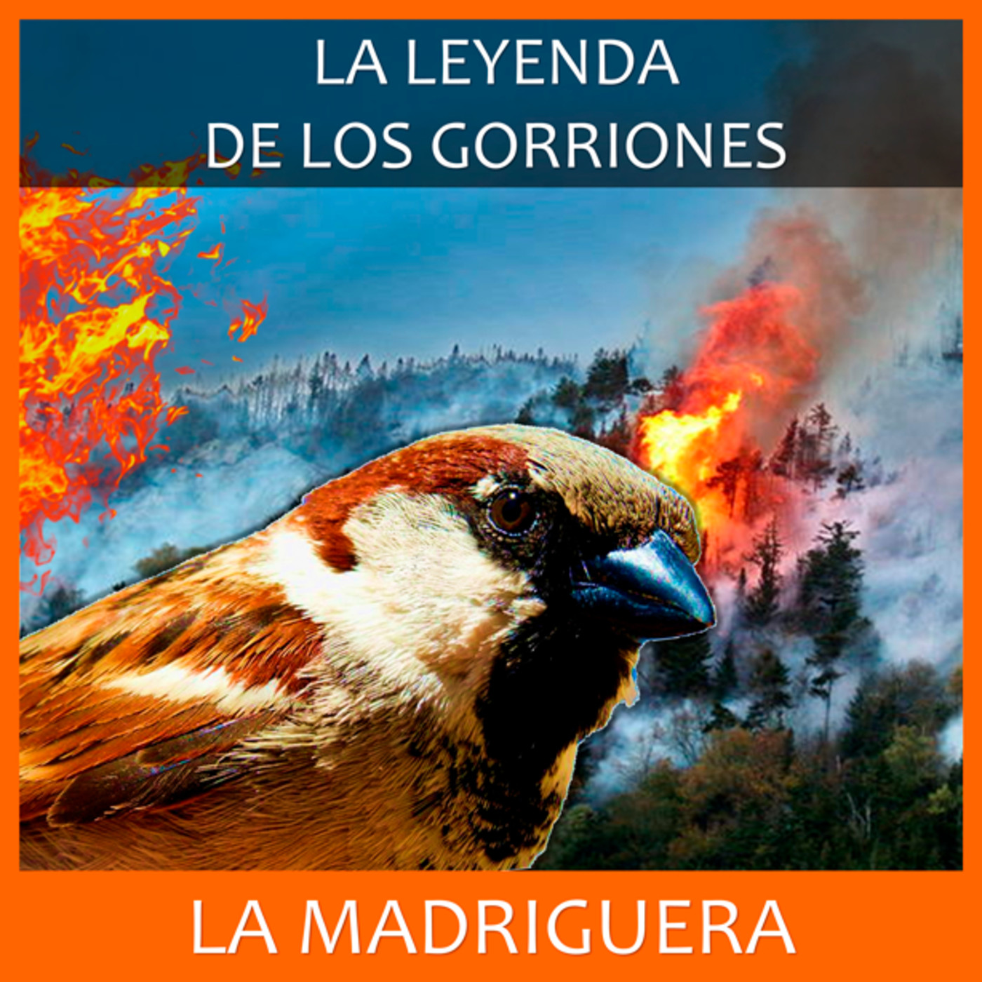 LA MADRIGUERA
