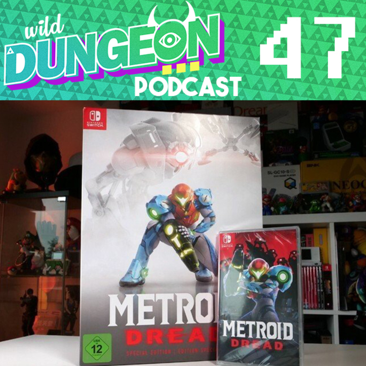 Wild Dungeon Podcast