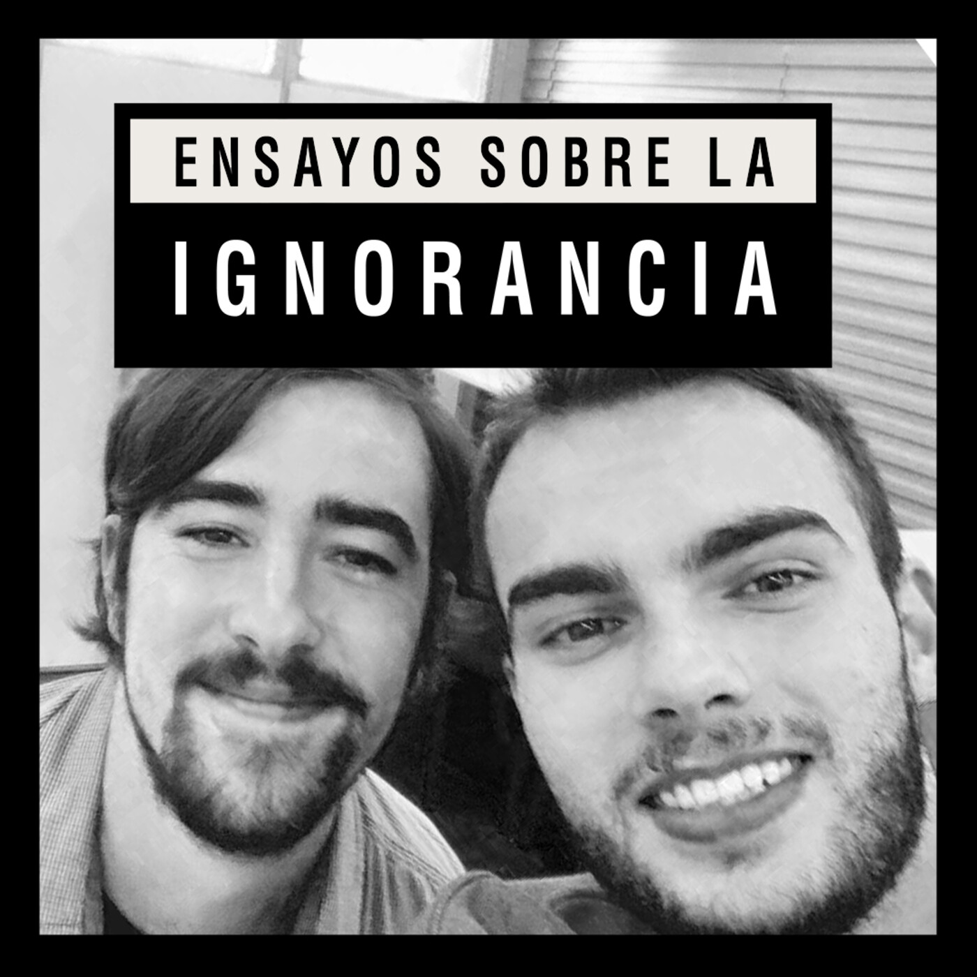 Ensayos sobre la ignorancia