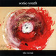 677 - Sonic Youth - Salamandra