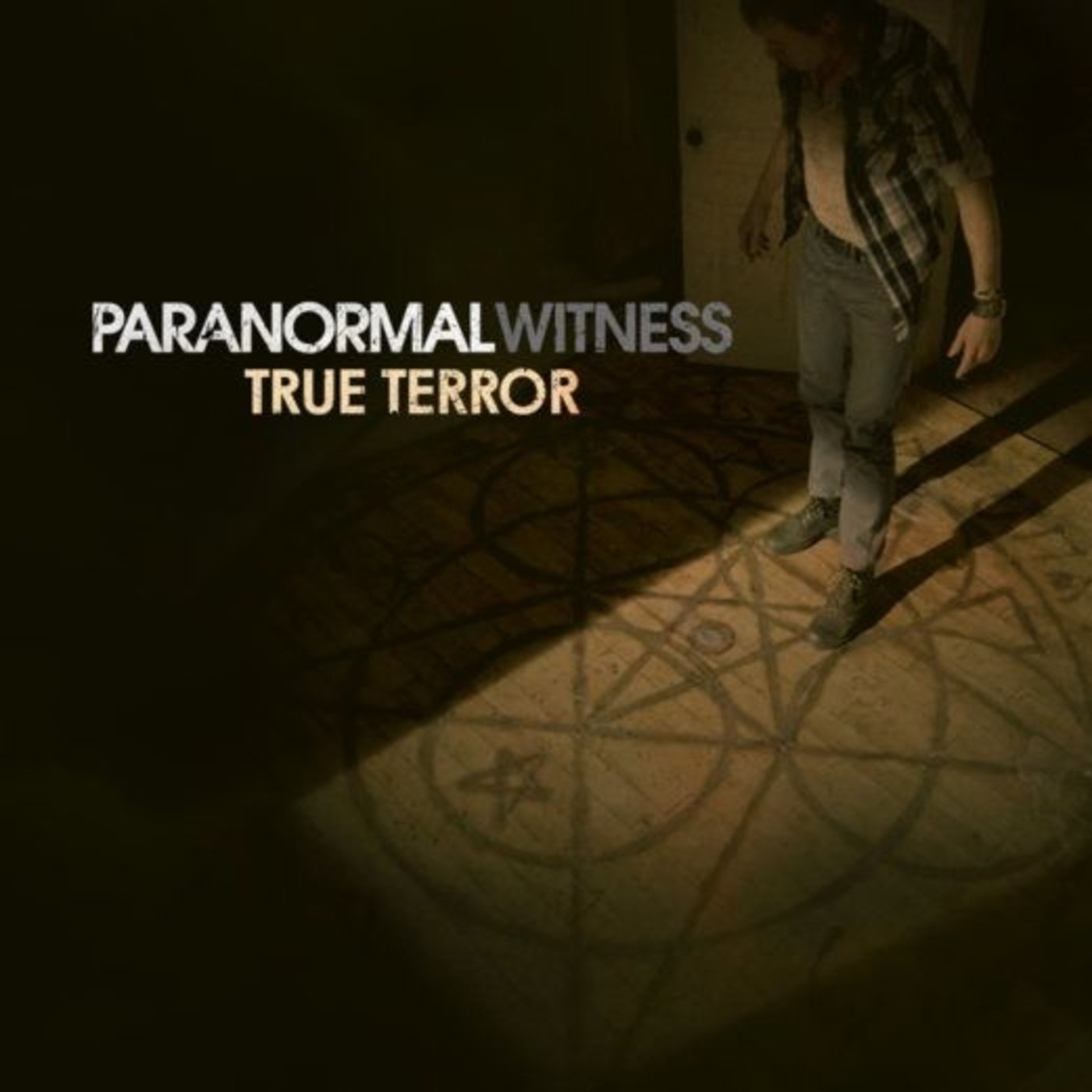 Paranormal Witness: Ovni en Trumbull #documental #podcast #misterio #extraterrestres episode artwork