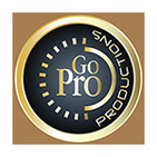 Go Pro 7 pasos para convertirse en un profesional del Mercadeo en Red