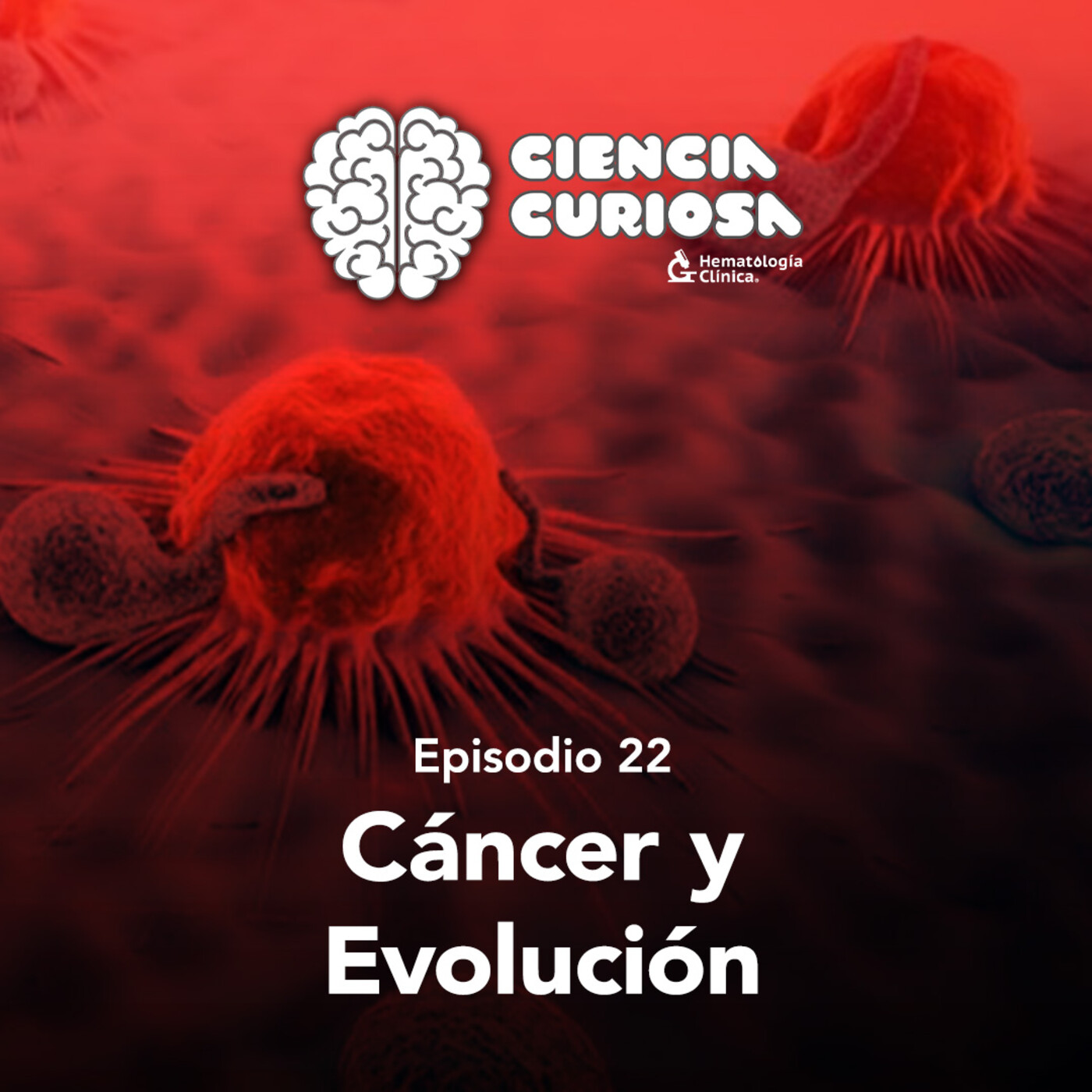 Ciencia Curiosa