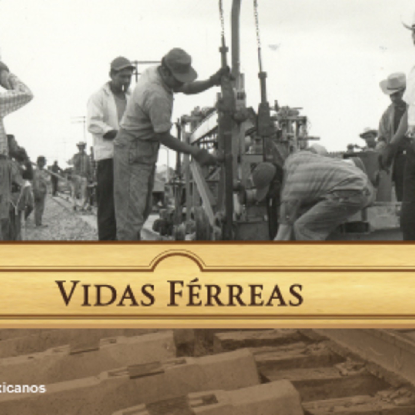 Vidas férreas