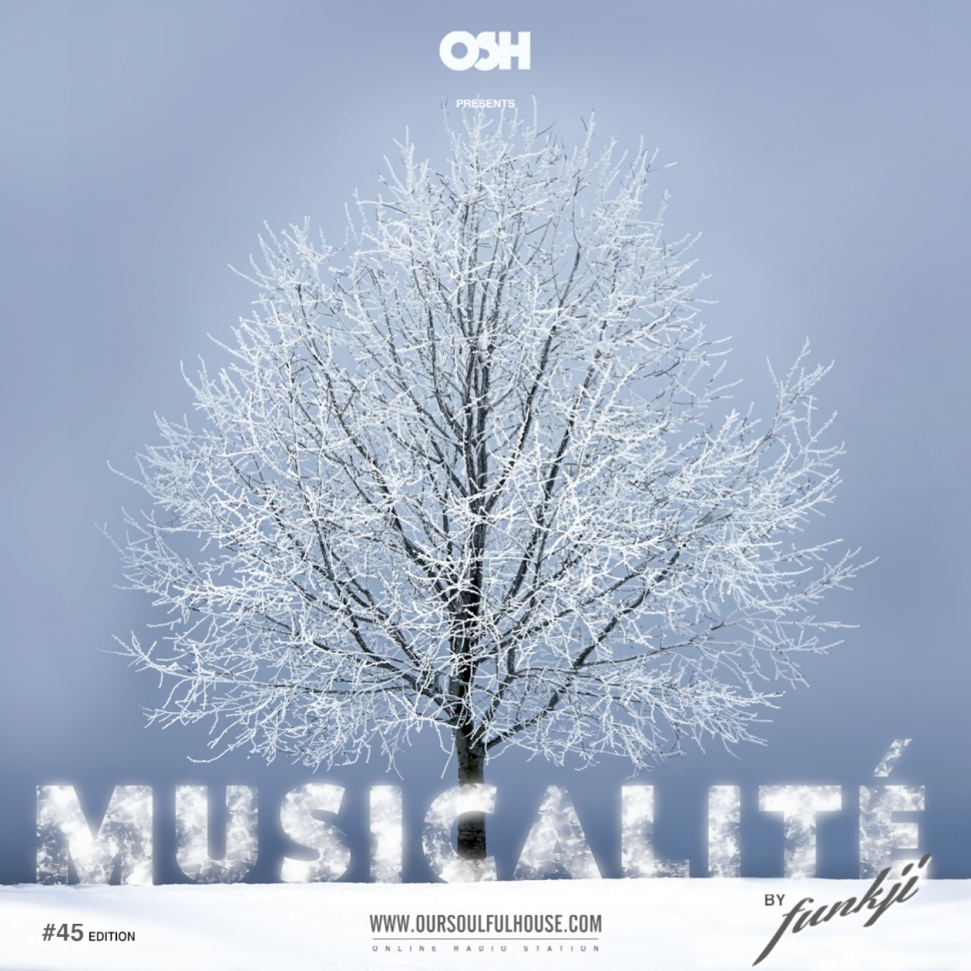 MUSICALITÉ sessions - OSH