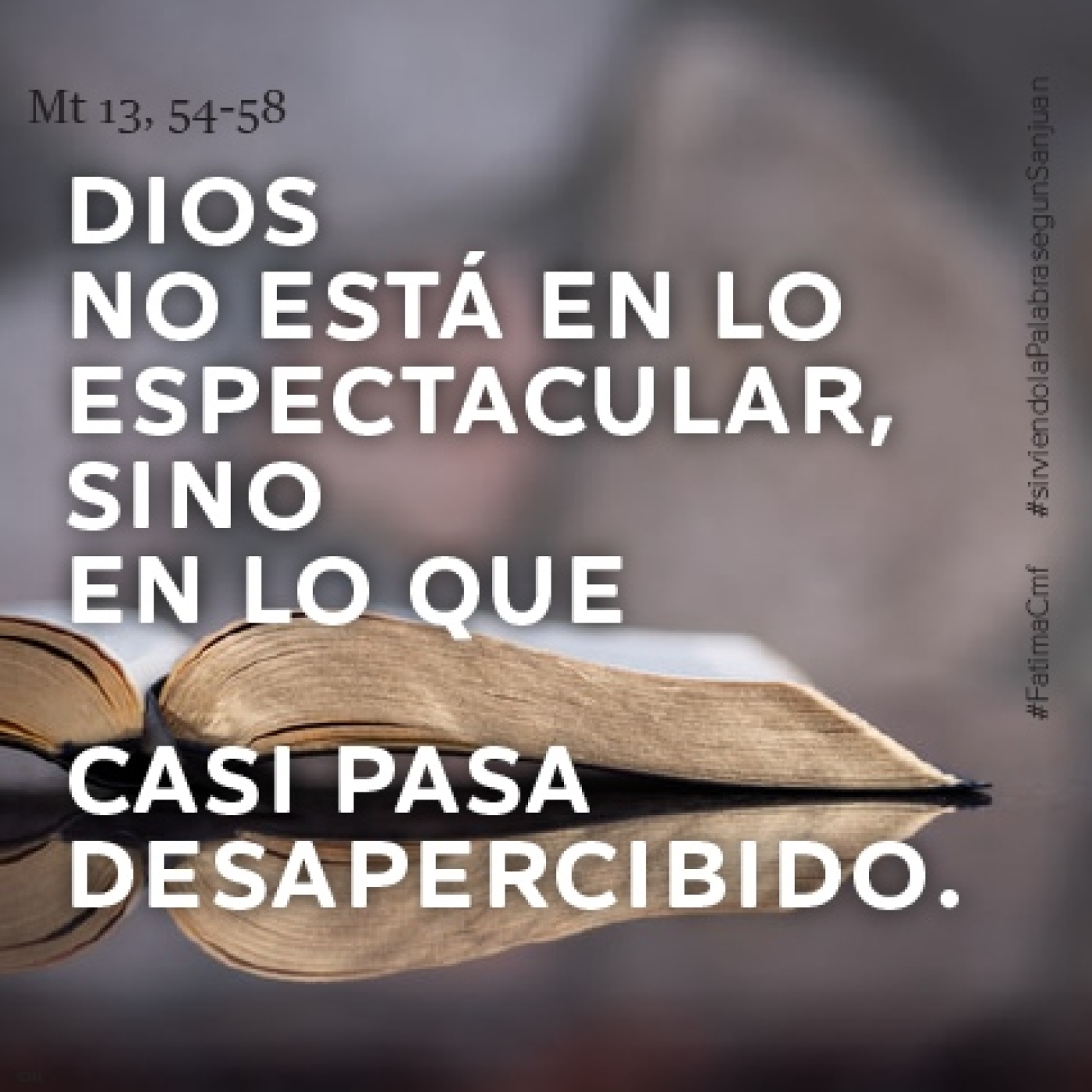 HOMILIAS - P.Luis Miguel Castillo