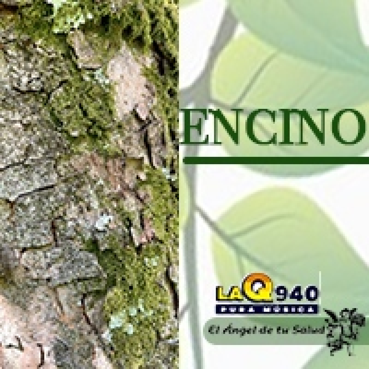 El Ángel de tu Salud - Encino** episode artwork