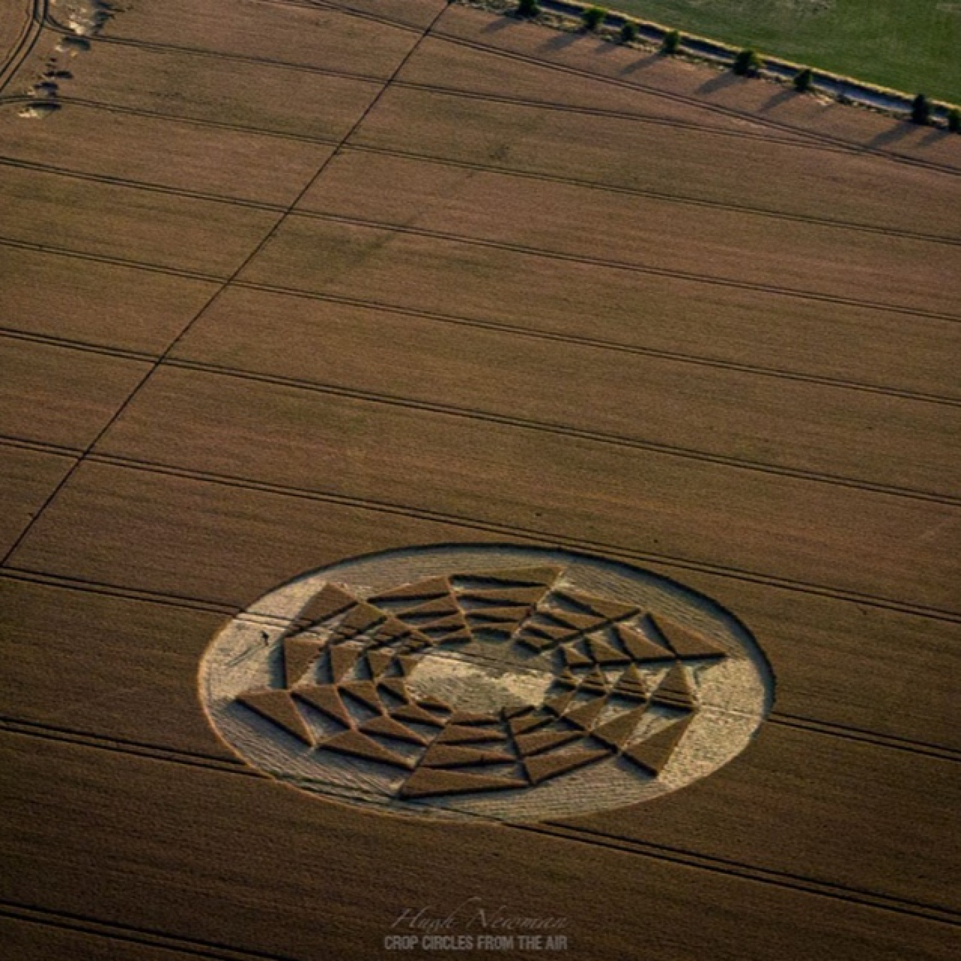ALTERNATIVA EXTRATERRESTRE