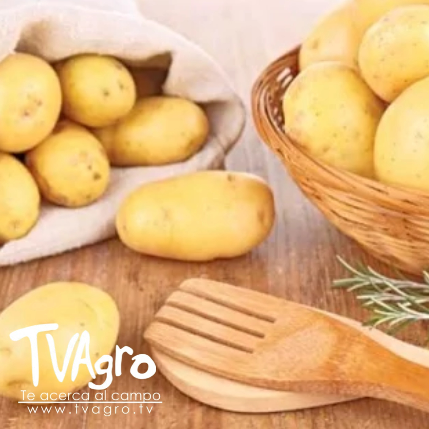 TV AGRO