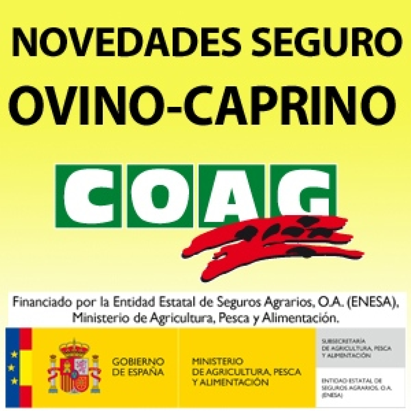 ¿Por qué deberías asegurar tu explotación de ovino y caprino? episode artwork