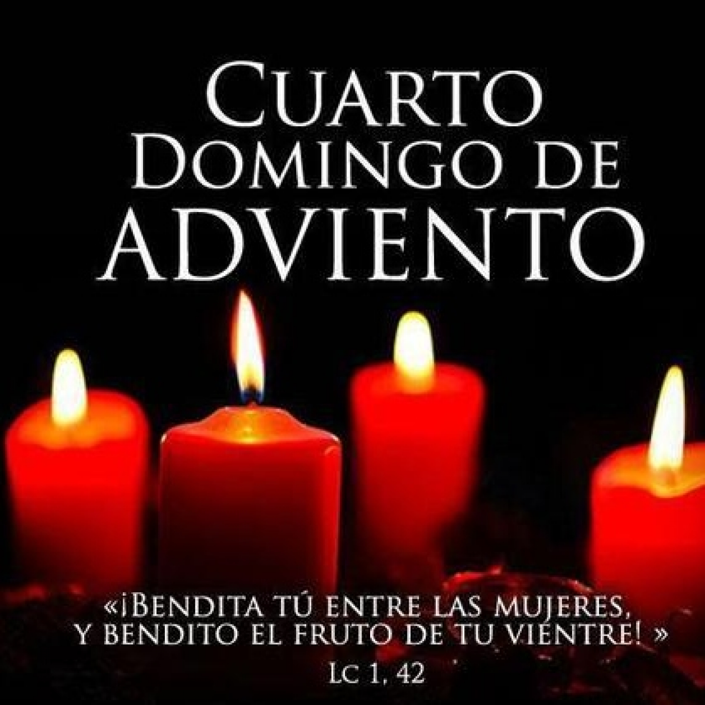 UNA VIDA LLENA DE PANDEMIA
