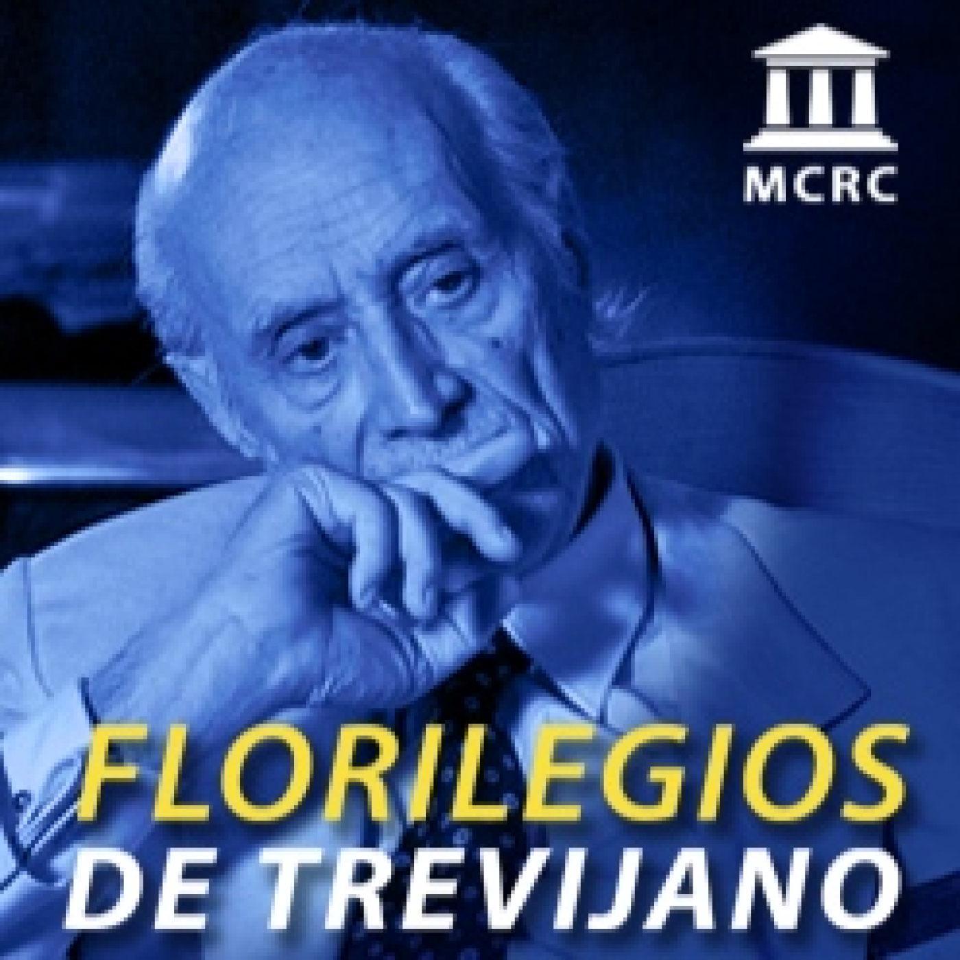 Radio Libertad Constituyente