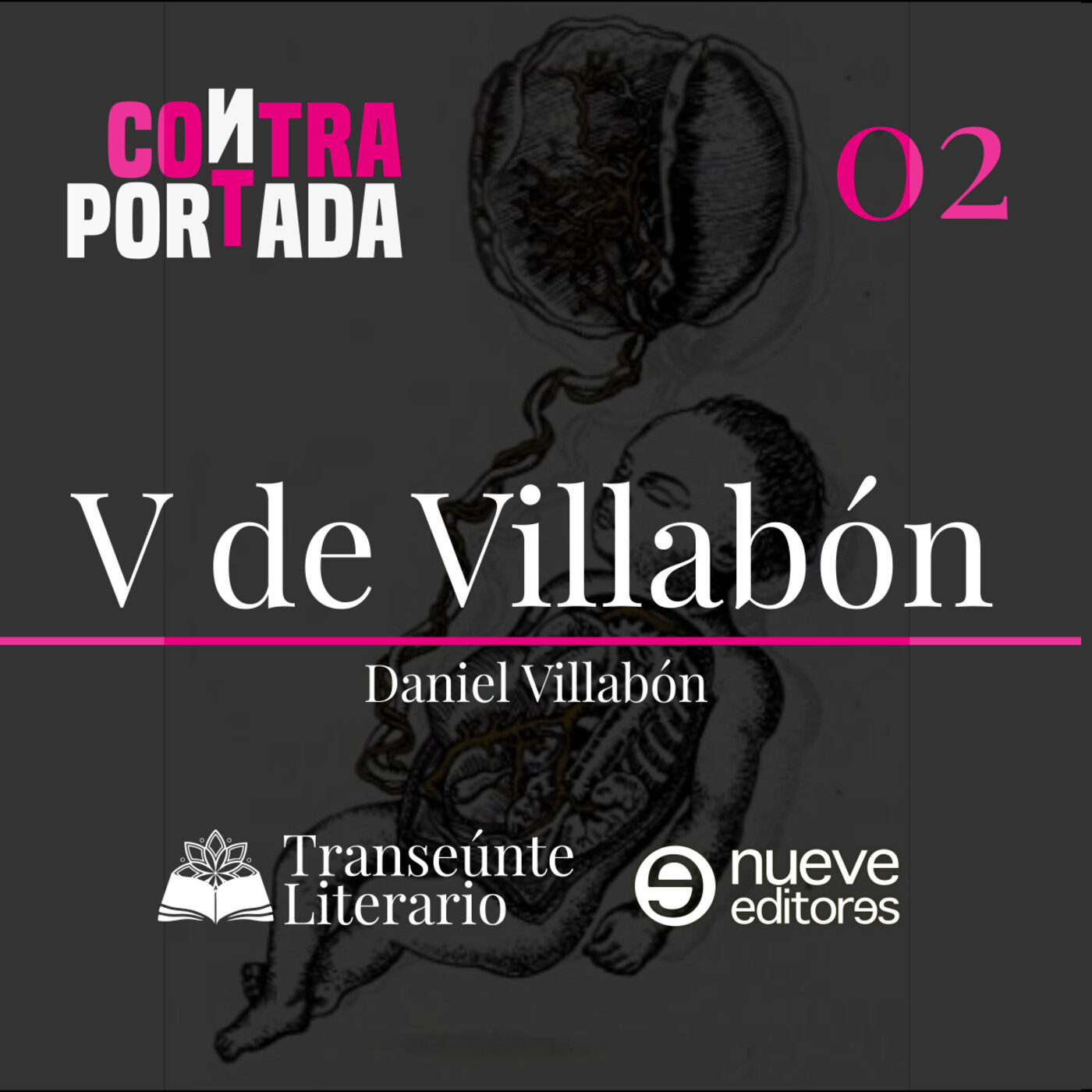 Transeúnte Literario