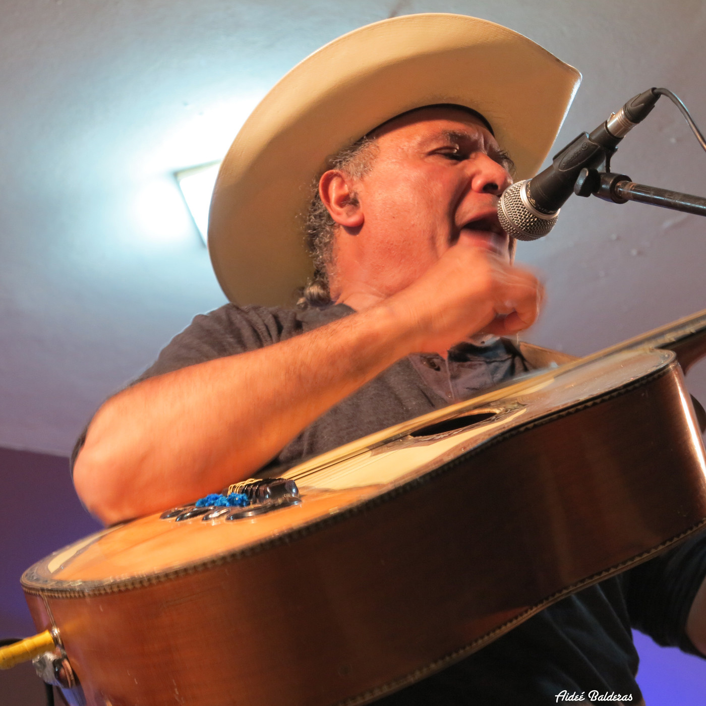 Trovadores y Juglares