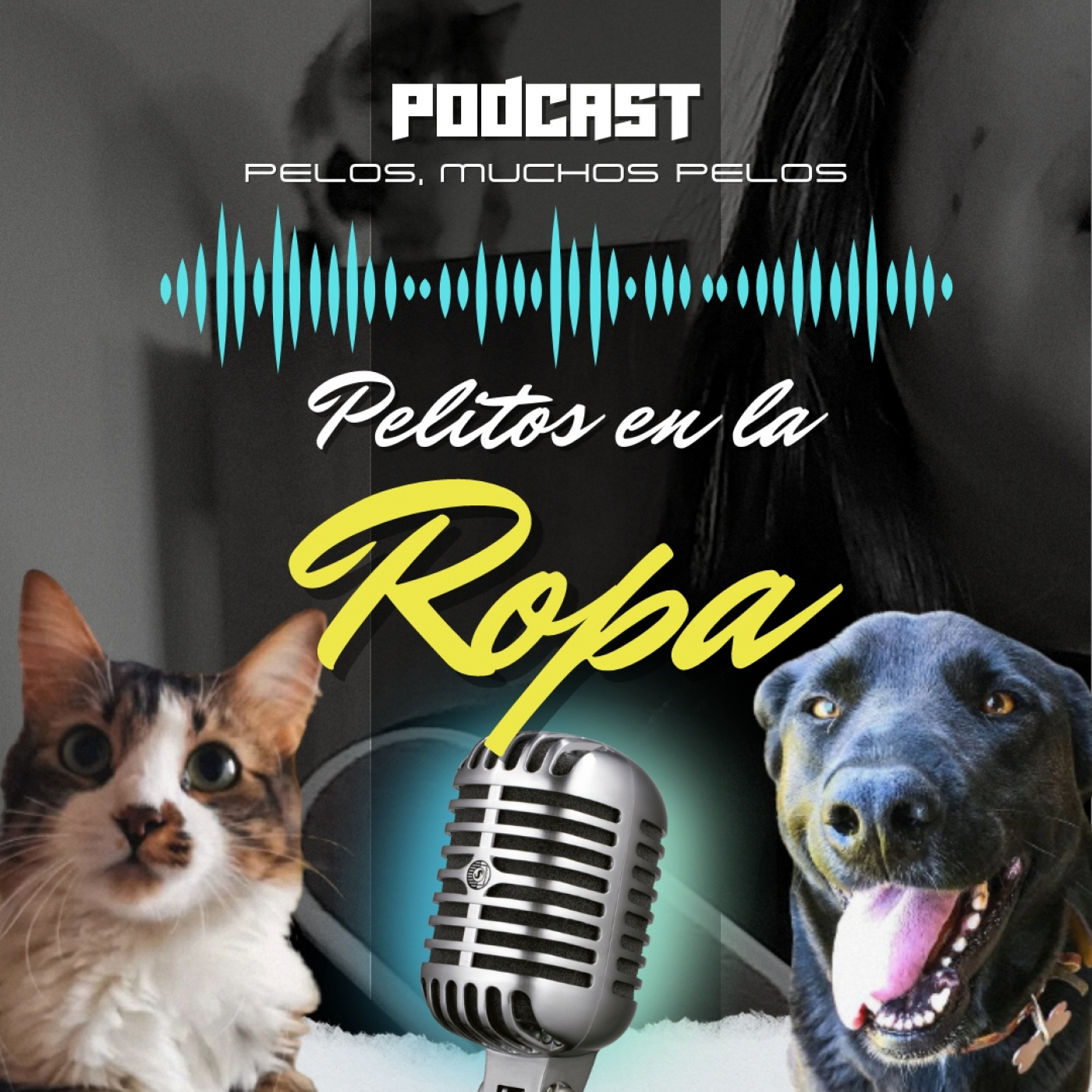 PELR: Pelitos en la Ropa