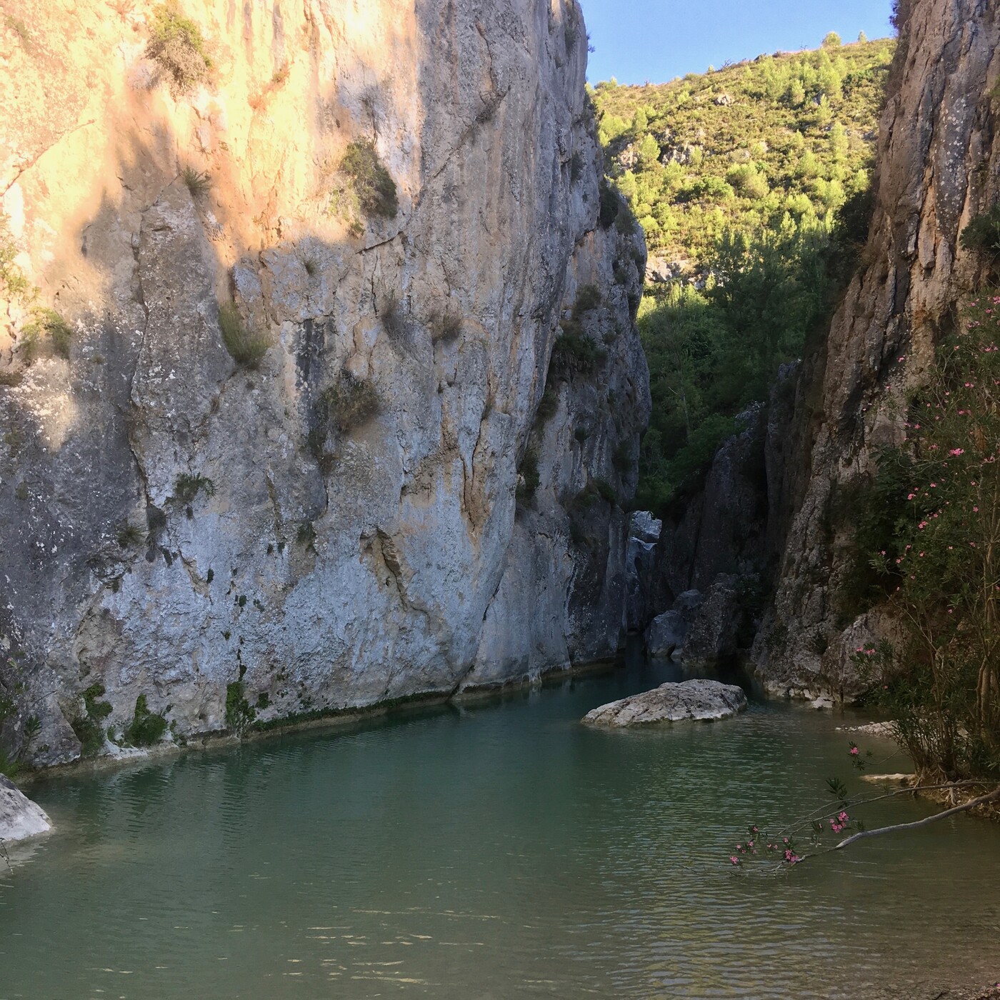 Reflexías