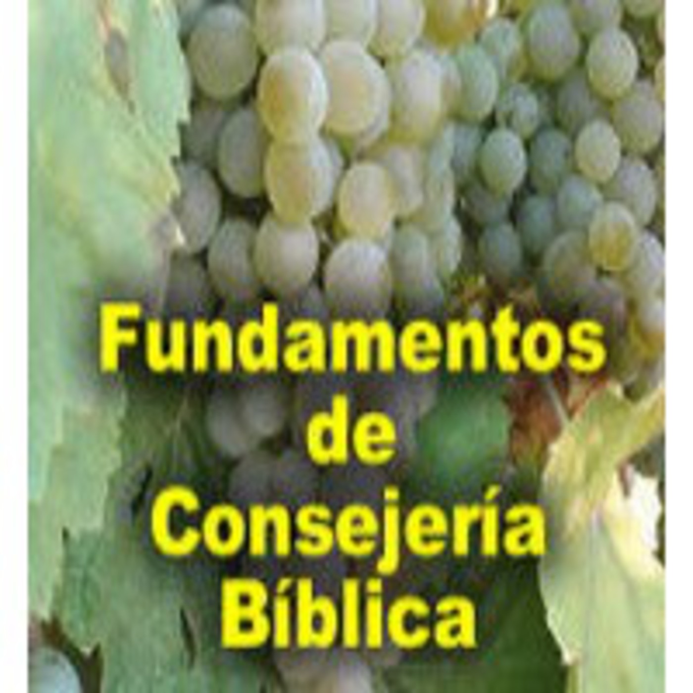 Formación Consejería Bíblica