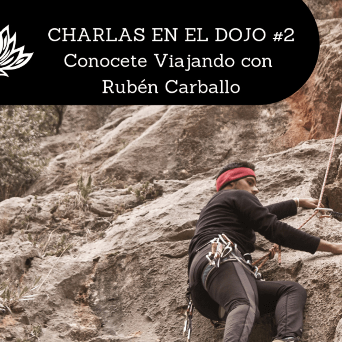 Charlas en el Dojo