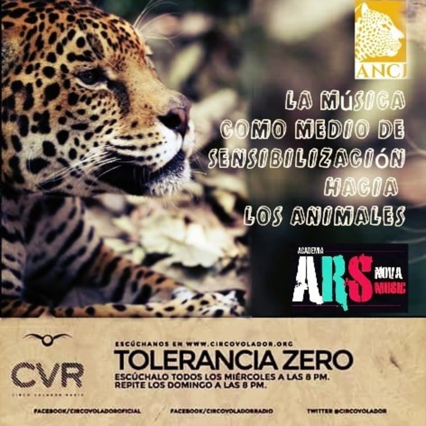 Tolerancia Zero