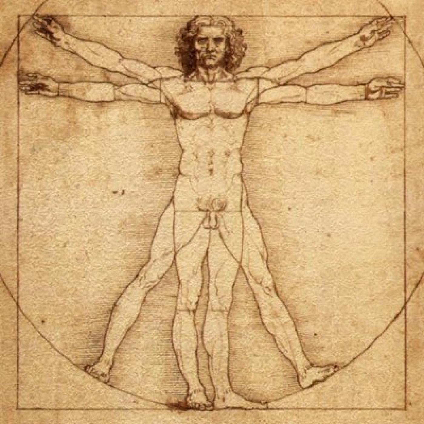 Anatomía IV (Sistema Nervioso Generalidades)