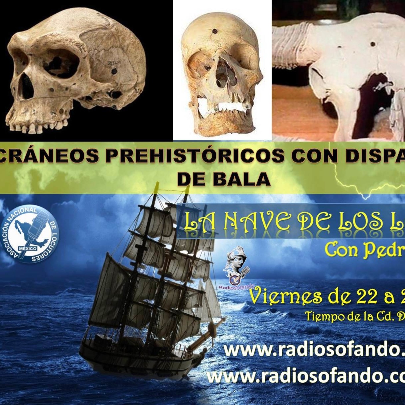 La Nave de los Locos_CRANEOS PREHISTORICOS CON DISPAROS DE BALA_18-06-21 episode artwork