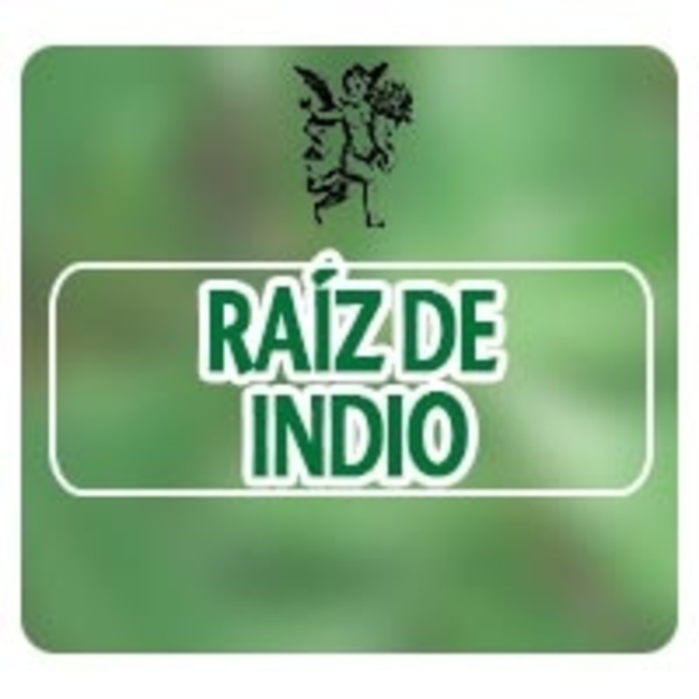 El Ángel de tu Salud - RAÍZ DE INDIO*